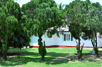 Outdoor Space 1