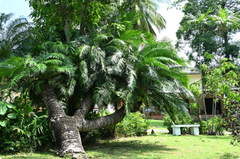 Outdoor Space 2